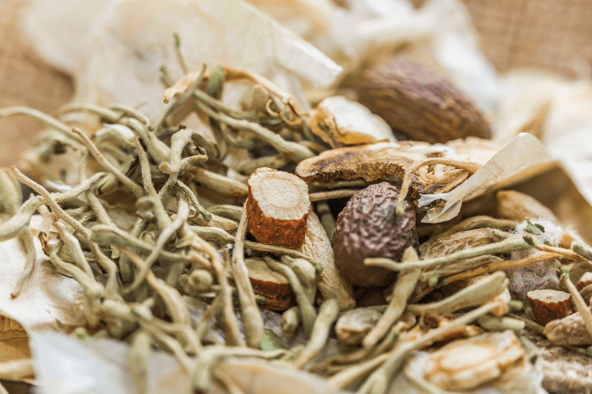 Ginseng (Panax ginseng)