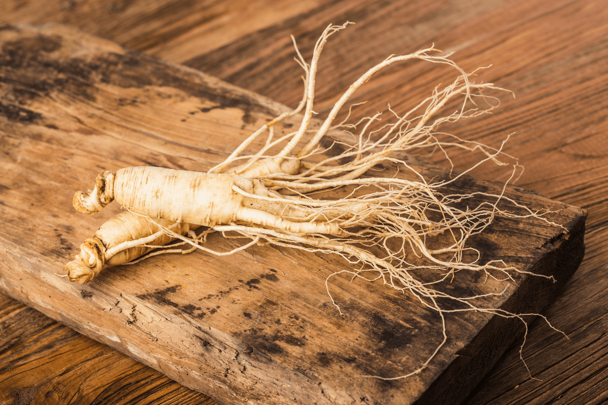 Ginseng (Panax ginseng)_HCD